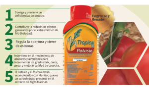 POTASIO