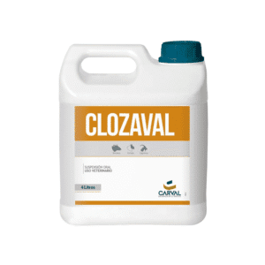 CLOZAVAL