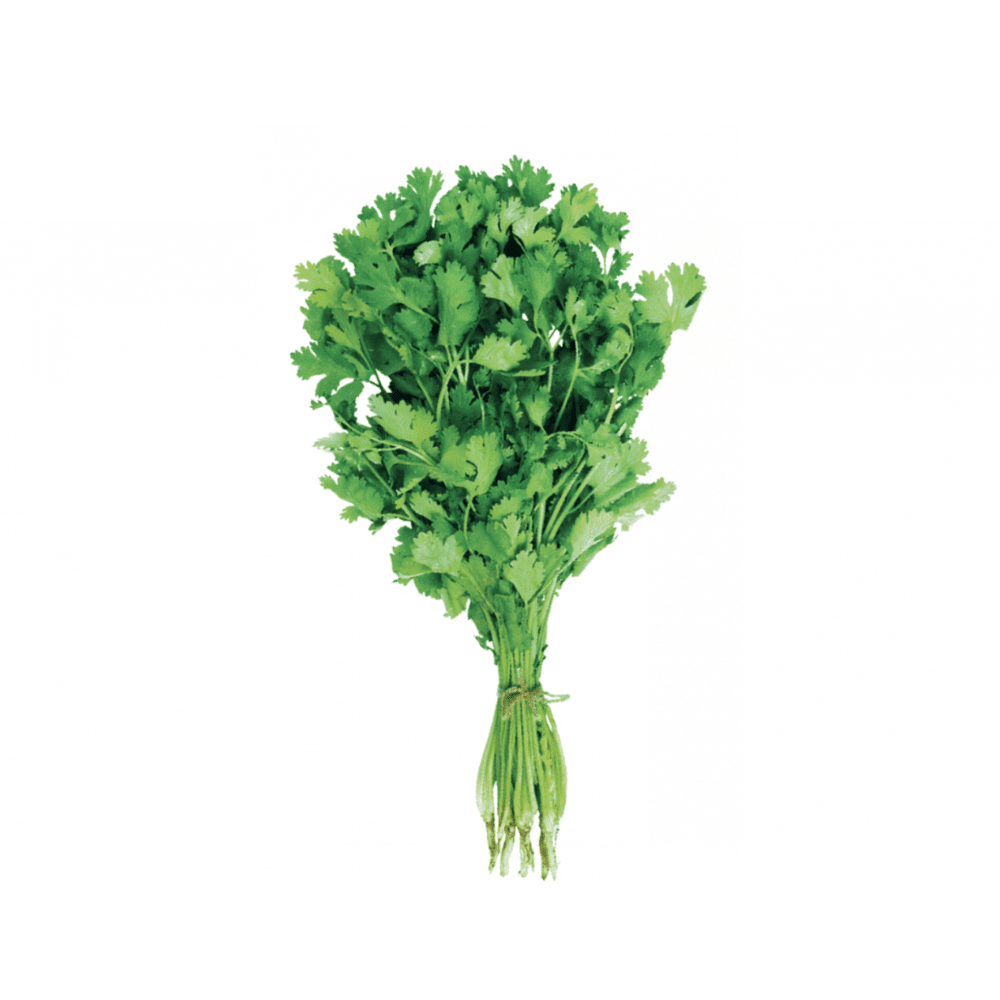 CILANTRO VERDAO 500GMS