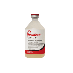 PROVIDEAN LEPTO 8